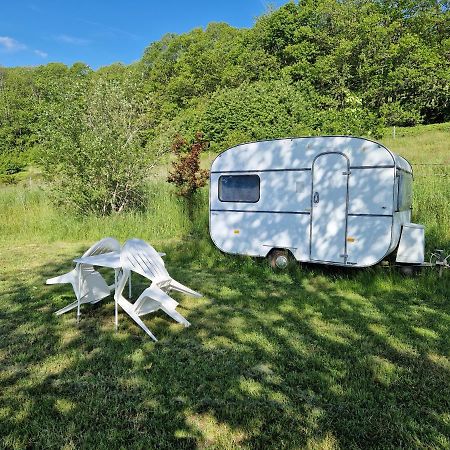 Camping La Foret Du Morvan Vintage Caravan Larochemillay Экстерьер фото