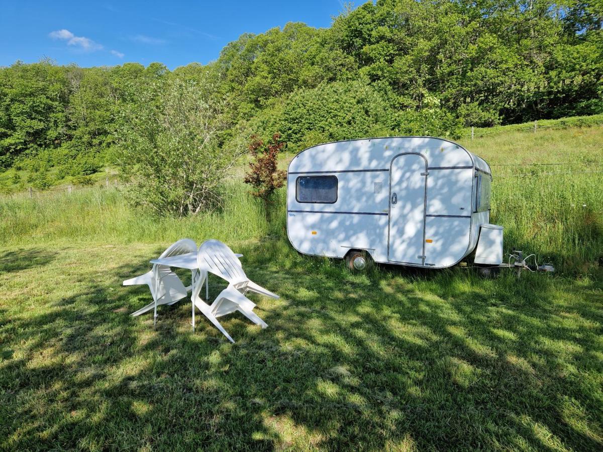 Camping La Foret Du Morvan Vintage Caravan Larochemillay Экстерьер фото
