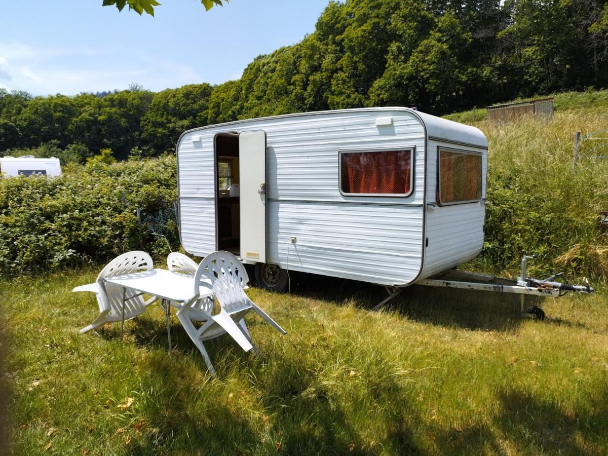 Camping La Foret Du Morvan Vintage Caravan Larochemillay Экстерьер фото